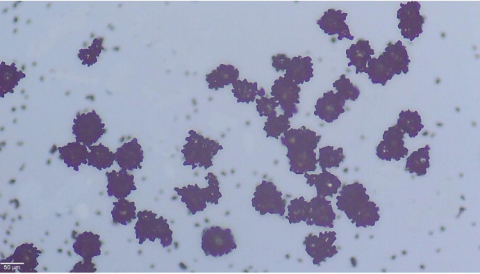 Magnetic Ferrite Carrier Powder for Copying Machines